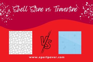 Read more about the article Shell Stone vs Travertine – Which is Better? 