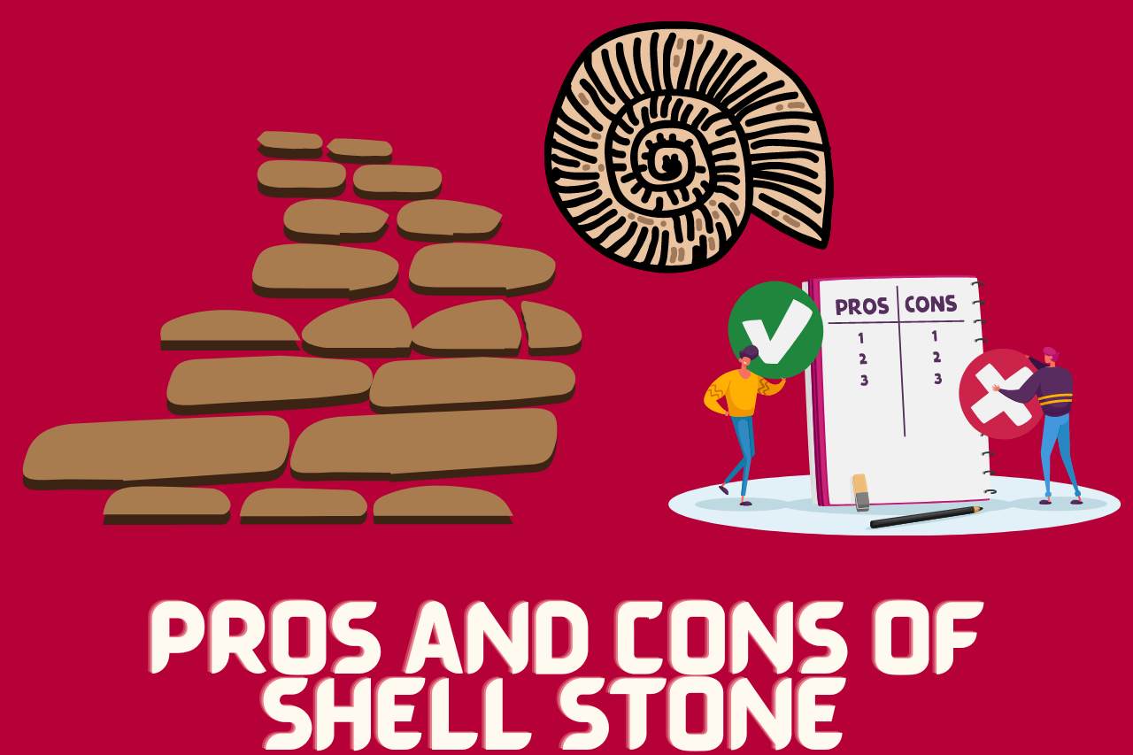 Pros and Cons of Shell Stone 