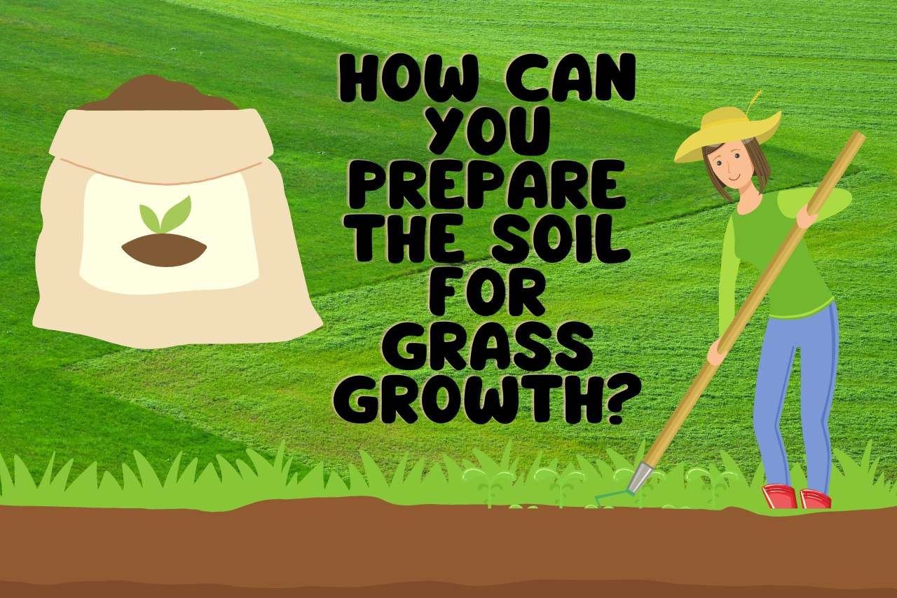 How Can you Prepare the Soil for Grass Growth