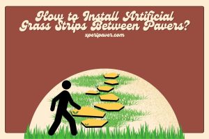 Read more about the article How to Install Artificial Grass Strips Between Pavers? (Step-by-Step Guide)