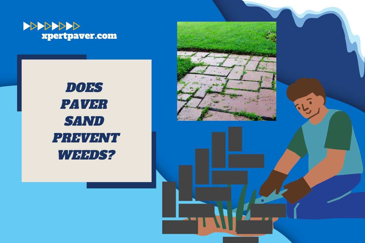 You are currently viewing Does Paver Sand Prevent Weeds? Exploring the Effectiveness!
